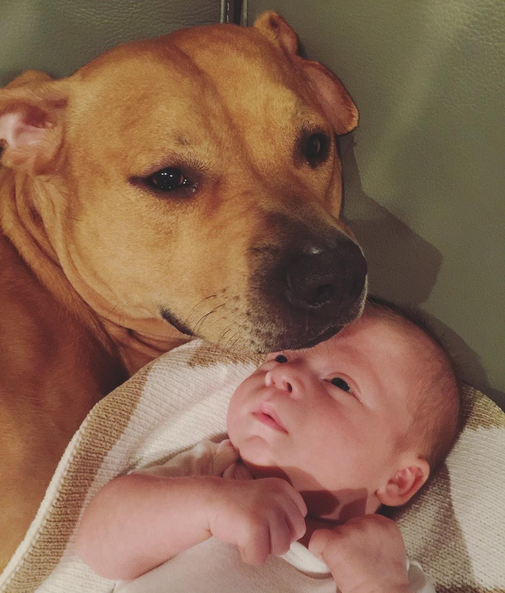 bebé y perro
